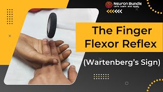 Wartenberg’s sign  Finger flexor reflex  babinski  upper limb reflex neurology medschool [upl. by Jakie]