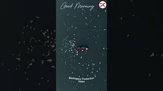 ❤️ Good Morning wishes Good Morning status Good morning WhatsApp status [upl. by Kilgore]