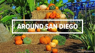 Around San Diego  October 7 [upl. by Seen]