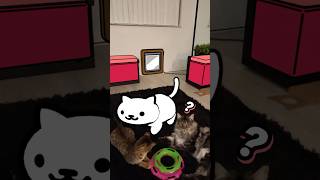 Introducing my Virtual Cat 🐱 nekoatsume vr [upl. by Tronna]