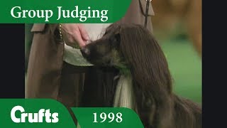 Afghan Hound wins Hound Group Judging at Crufts 1998 [upl. by Anneis844]