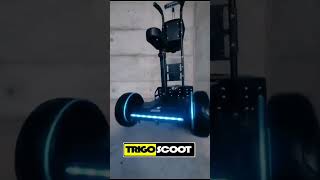 Practical Hoverboard attachment solution for transporting goodsTrigoScoot [upl. by Suhcnip]