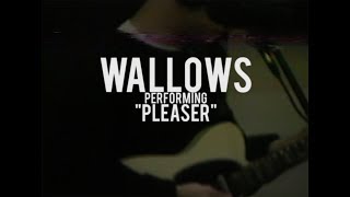 Wallows  quotPleaserquot  Live at North Dwarf Records [upl. by Padegs575]