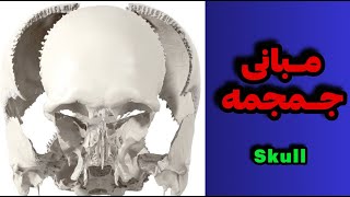 مبانی جمجمهskull [upl. by Yhcir569]