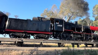 Chasing Steam train from Maldon to Muckleford to Castlemaine Must watch full video amazing shots￼ [upl. by Repohtsirhc104]