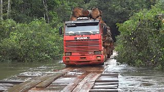 NA ROTA DA MADEIRA  Caminhões ao Extremo 10 [upl. by Arahsak909]