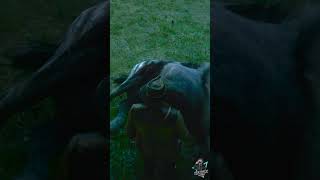 Bounty On My Head 🪦 rdr2 shorts gameplay [upl. by Pussej]