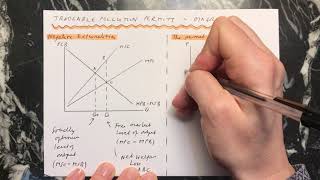 Tradable Pollution Permit Schemes  diagrams [upl. by Ainud]