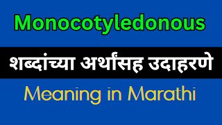 Monocotyledonous Meaning In Marathi  Monocotyledonous explained in Marathi [upl. by Tdnaltroc]