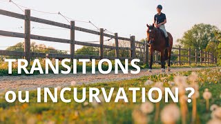 Transitions ou incurvation  Que faut il travailler en premier avec son cheval [upl. by Edith]