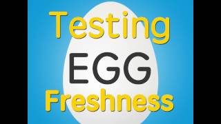 Testing Egg Freshness [upl. by Langley]