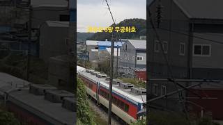 경부선 무궁화호 train 기차여행 [upl. by Radke]