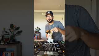 pawsa cat groovycat dj housemusic disco classichouse djing throwback fyppp [upl. by Haeli497]