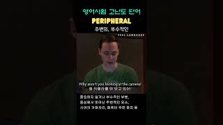 단어 Peripheral adj [upl. by Dnomsed645]