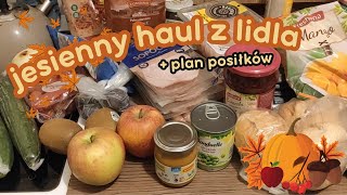 Wreszcie kupiłam DYNIĘ 🎃 Haul spożywczy LIDL  plan posiłków [upl. by Shawnee]