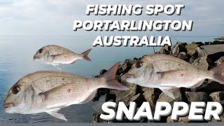 FISHING SPOT HUGE SNAPPER AT PORTARLINGTON VICTORIA AUSTRALIA  MAY 07 2024 [upl. by Asseral]