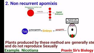 Apomixis  Recurrent apomixis  Non recurrent apomixis  Adventive embryony  Pravin Sirs Biology [upl. by Aneeres982]