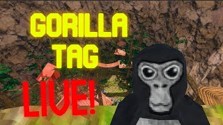 gorilla tag live stream minigames and tag [upl. by Leimaj]