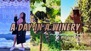 A Day in a Winery  Peller Estates Winery  Niagara Vlog 1  wanderlust [upl. by Purity]