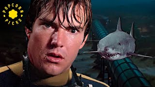 The Shark Explodes Ending Scene  Jaws 3D [upl. by Ecnahc]