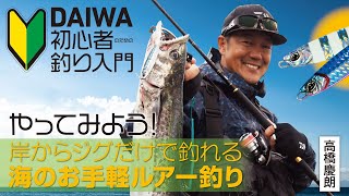 【DAIWA 初心者釣り入門】高橋 慶朗のやってみよう！岸からジグだけで釣れる海のお手軽ルアー釣り [upl. by Patience479]