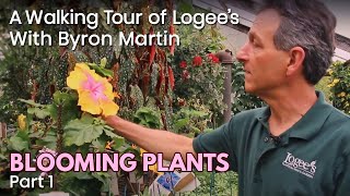 A Walking Tour of Logees Greenhouses with Byron Martin  Blooming Plants  May 2020  Part 1 of 2 [upl. by Adnamahs]