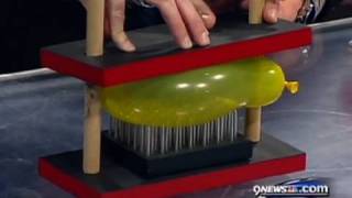 Bed of Nails  Cool Science Experiment [upl. by Campos547]