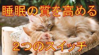 睡眠の質を高めるポイントについてまとめました 読書 思考術 恋愛 心理学 幸せ 人間関係 職場 うつ病 [upl. by Missak842]