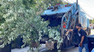 Chicago Loadmaster Rear Loader Garbage Truck Packing a Tree [upl. by Ycnan113]