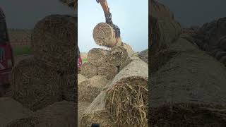 Farm hay rolling process Good tools and machinery make work easy [upl. by Siuqaj]