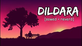 Dildara slowedreverb [upl. by Thayer]