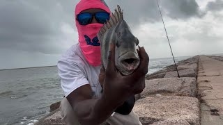 Looking for Fall sheepshead Pt2 Quintana Jetties Freeport TX karolinastrikers [upl. by Swanhilda]