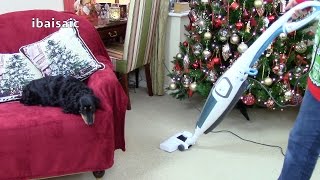 ibaisaics Video Advent Video Day 21 Hoover Idol Stick Vacuum Unboxing [upl. by Eldoree]