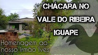 LINDA CHACARA EM IGUAPE COM FRUTIFERAS  Homenagem para o Ives nosso irmão participante do canal [upl. by Sulecram]