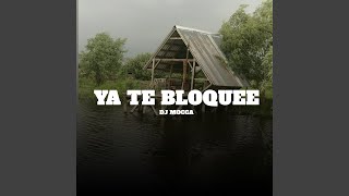 Ya Te Bloquee Remix [upl. by Ilatfan]