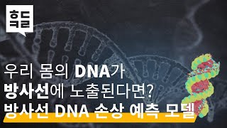 DNA가 방사선에 노출된다면 방사선 DNA 손상 예측 모델  ㅎㄷㅋㄹ [upl. by Llebasi]