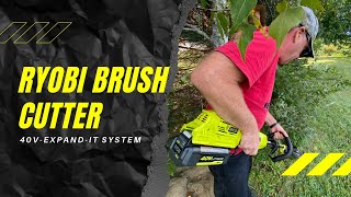 Ryobi Brush Cutter  Expand It System [upl. by Orofselet974]