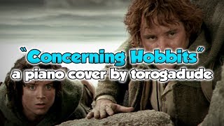 quotConcerning Hobbitsquot  Lord of the Rings  piano cover [upl. by Ardith]