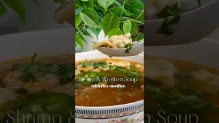 10 Minute Shrimp and Wonton Noodle Soup recipe soup [upl. by Yoral]