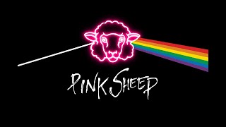 Pink Sheep  Pink Floyd Tribute band  Promo Bands and Acts [upl. by Summons]