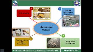 O33ICAZ2024Recuperative effects of herbal feed supplement in freshwater fish [upl. by Thrasher563]