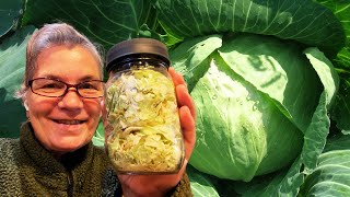 How to Freeze Dry Cabbage [upl. by Cynthia908]