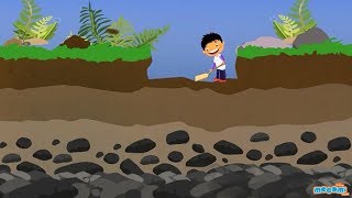 Soil Profile of Earth  Soil Layers and Horizons  Geography for Kids  Educational Videos by Mocomi [upl. by Secnarfyram898]