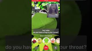 Snapchat Celebrity Voice Changer  Kermit [upl. by Ahsinad]