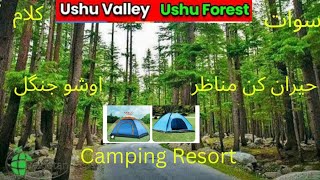 The Most Amazing place in Ushu Forest Kalam ValleySwatCamping ResortTravel Guide [upl. by Eadwina]