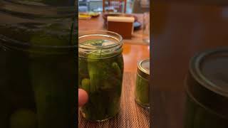 Pickling cukesgherkins recipe in comment area [upl. by Moitoso]