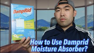 How to Use Damprid Moisture Absorber [upl. by Ecela]