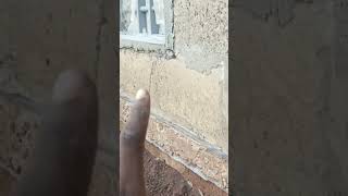 How to prevent rising damp  Part 2 [upl. by Aicirtac]