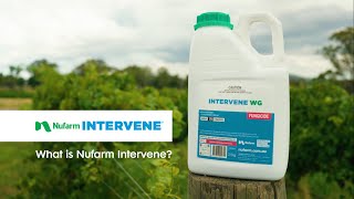 What is Nufarm Intervene [upl. by Stanford]