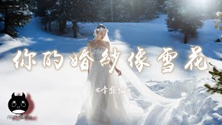 李發發  你的婚紗像雪花『回想我們一起走過的年華，最終卻沒給你一個家。』【動態歌詞  Pinyin Lyrics】【PENGUIN MUSIC】 [upl. by Salokkin462]